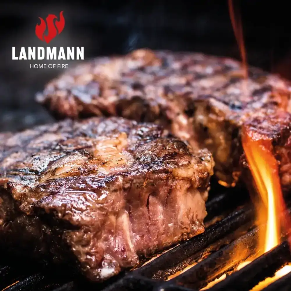 Газово барбекю LANDMANN Gas BBQ 2.0 Black